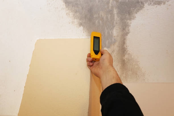 Mold Removal for HVAC Installations