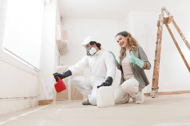 Trusted Jefferson Valley Yorktown, NY Mold Inspection, Removal & Remediation Experts